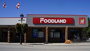 Foodland - Parkhill, ON