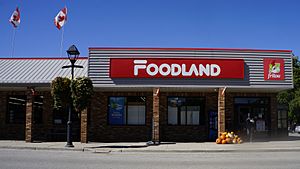 Foodland 2025 - ingersoll