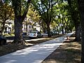 Fuller Park and historic homes