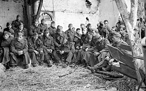 German POWs captured during the Allied assault on Walcheren Island in Holland, November 1944. BU1267