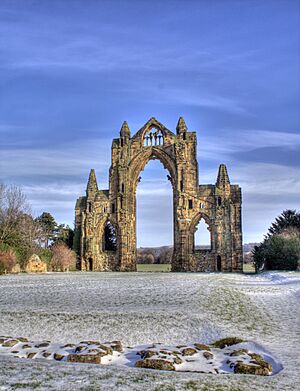 Gisborough priory snow portrait