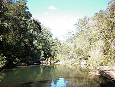 Glenbrook Creek, NSW