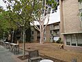 Graham Flats, West Perth, March 2022 02