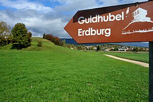 Guldhubel, Aegerten 02 10