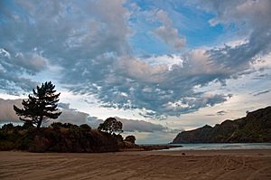 Hicks Bay, East Coast, New Zealand, 13th. Dec. 2010 - Flickr - PhillipC (2).jpg