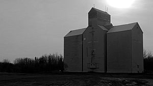 Hines Creek Alberta Grain Elevator (10309546835).jpg