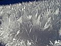 Hoar frost on a snow field