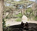 Homo erectus hand axe Daka Ethiopia
