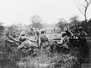 Indian Mountain Battery at the Battle of Mahiwa.jpg