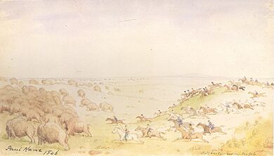 Kane Métis Buffalo Hunt