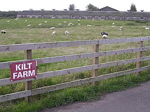 Kilt Farm, Abronhill - geograph.org.uk - 251082