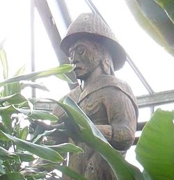 Cedar statue of a man, in a greenhouse, partly covered by plants.