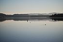 Lake Mendocino CA.jpg