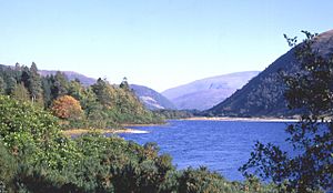 Loch Dùghaill - geograph.org.uk - 8185.jpg