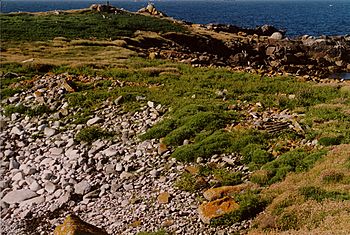 Looking NNE across the narrowest part of Annet, Isles of Scilly - geograph.org.uk - 84242.jpg