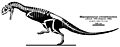 Majungasaurus crenatissimus skeleton