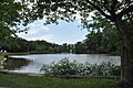 MaldenMA FellsmerePark