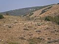 Mormon Flat Breastworks