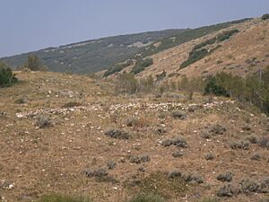 Mormon Flat Breastworks