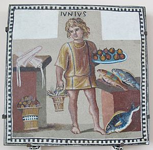 Mosaico di un giovane come mese di giugno, III secolo dc.