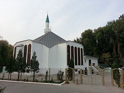 Mosque in the city of Rostov-on-Don, Russia,1