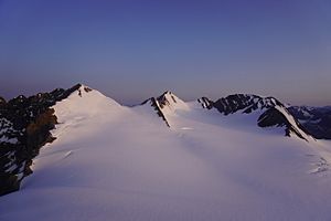 Mount Pilkington Summit Photo