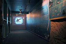 National Marine Aquarium, Plymouth Jawsome projector