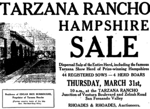 Newspaper advertisement disposing of herd of hogs on Tarzana Rancho, Los Angeles County, 1921
