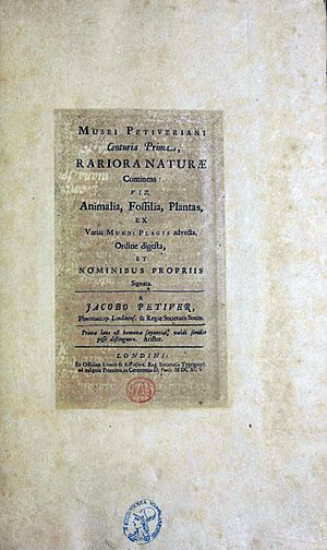 Petiver, James – Musei Petiveriani centuriae, 1695 – BEIC 8852506