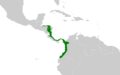 Phaenostictus mcleannani map