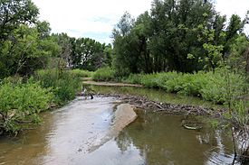 Plum Creek (Colorado).JPG