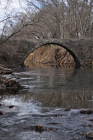 PolecatBridge