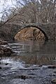 PolecatBridge