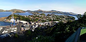 Port Chalmers Panorama