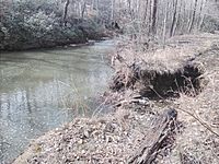 Powells Creek.jpg