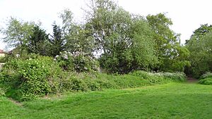 Raeburn Open Space 5