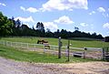 Raemelton Farm