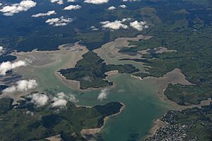 Raglan Harbour