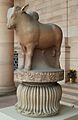 Rampurva bull in Presidential Palace high closeup