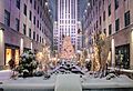 Rockefeller Center Christmas 2020 Snowstorm December (50733449647)