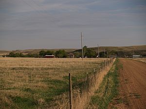 Fenceline along a road in Schafer