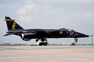Sepecat Jaguar GR1A, UK - Air Force AN1878247