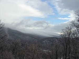 Shenandoah in Winter