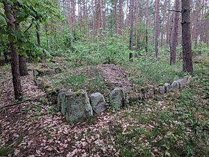 Slawischer Grabhügel bei Löcknitz - 2020-05-23a