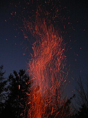 Sparks 20060114 757