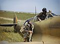 Supermarine Spitfire pilots of No. 40 Squadron, South African Air Force, at Gabes in Tunisia, April 1943. TR1033