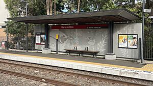 Sydney Light Rail L1 Dulwich Hill Platform facilities