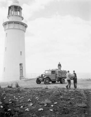 Table Cape Lighthouse