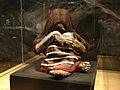 The replica of the plomo mummy at the Museo Nacional de Historia Natural in Sangtiago Chile 2009 May 24