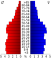 USA Madison County, Tennessee.csv age pyramid